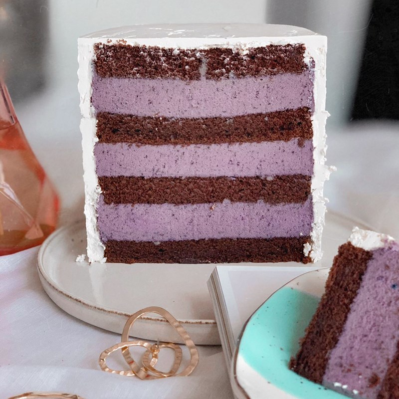 Chocolate cake with blueberry mousse