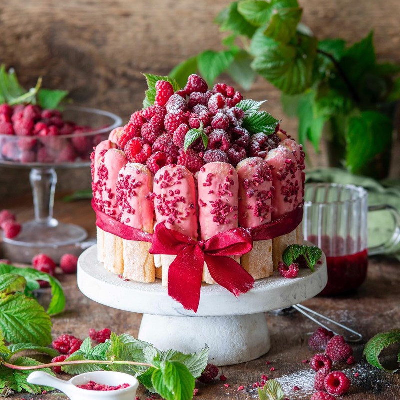 Raspberry Tiramisu cake