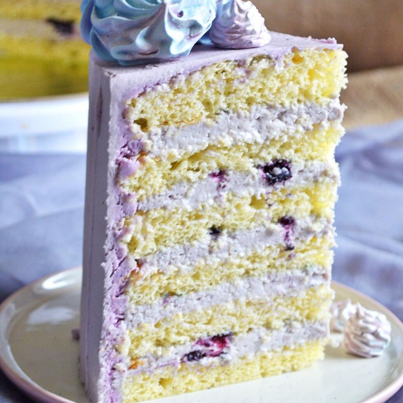 Blueberry ice cream cake